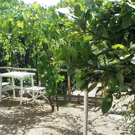 La Stramba Guest house Siena